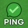 Ping Check in Chat