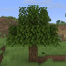 Flying Tree