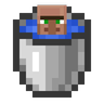 VillagerBucket