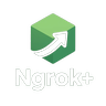 Ngrok+