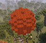 Meteorites