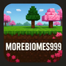 MoreBiomes999